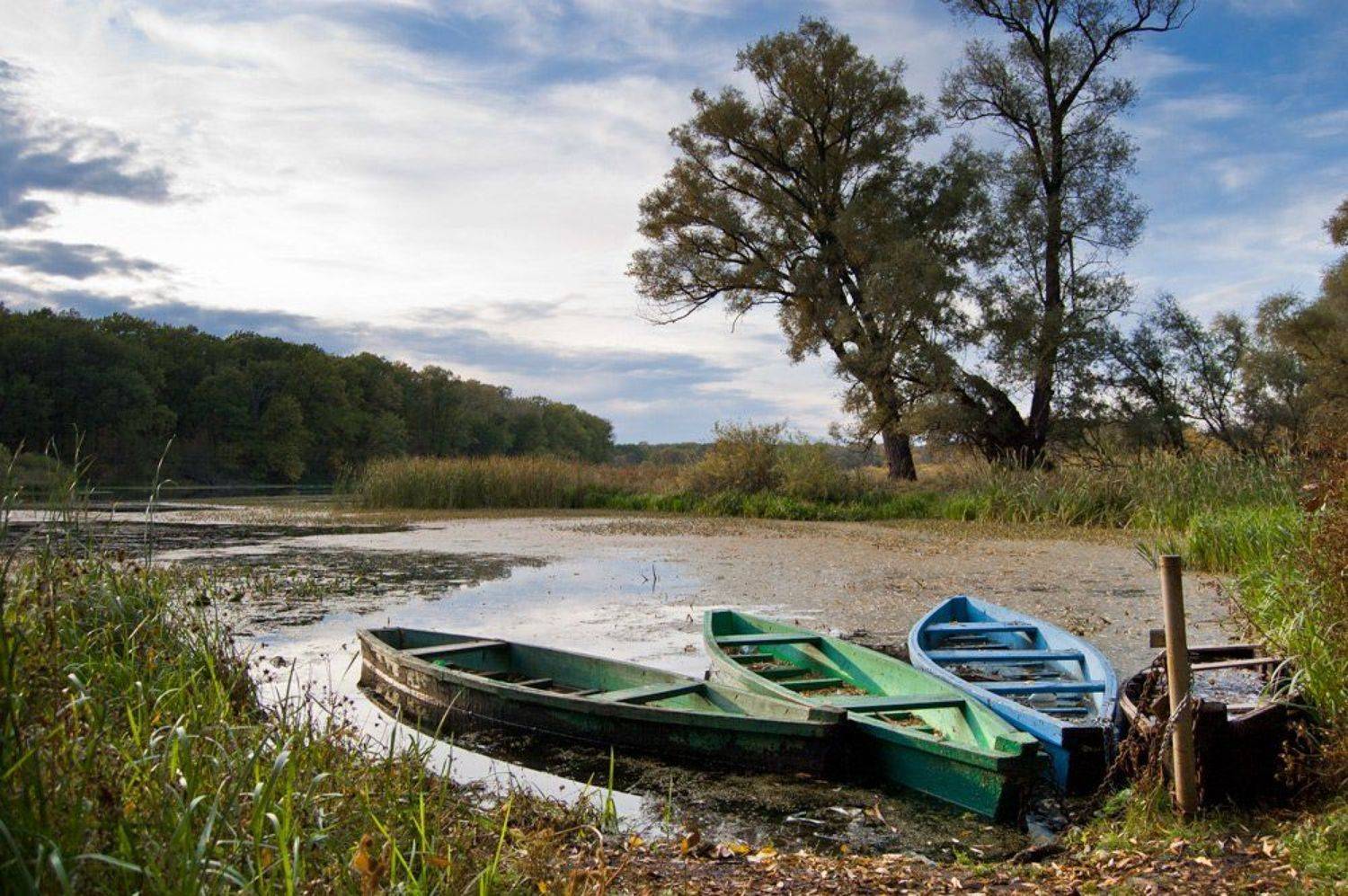 , Срибный Евгений