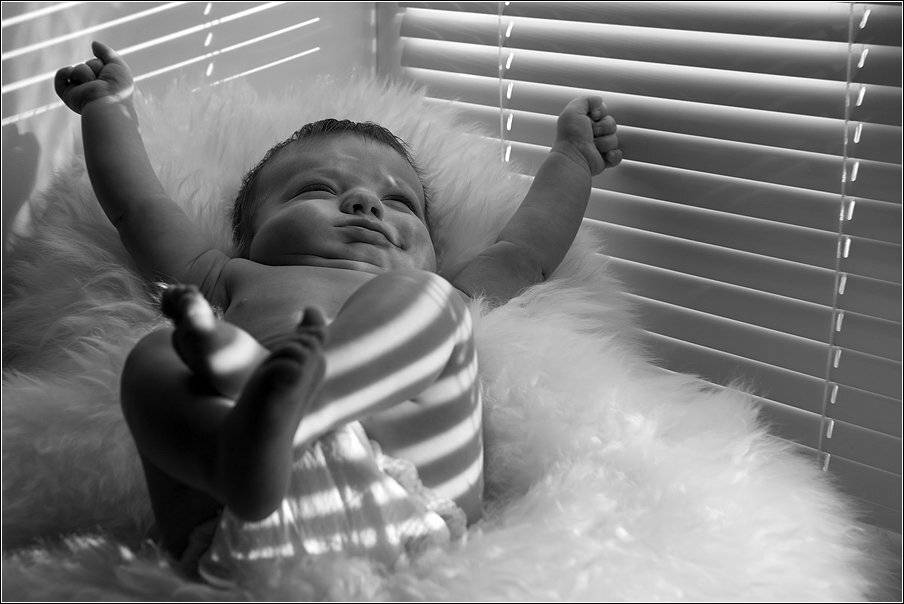 , Владимир Жданов