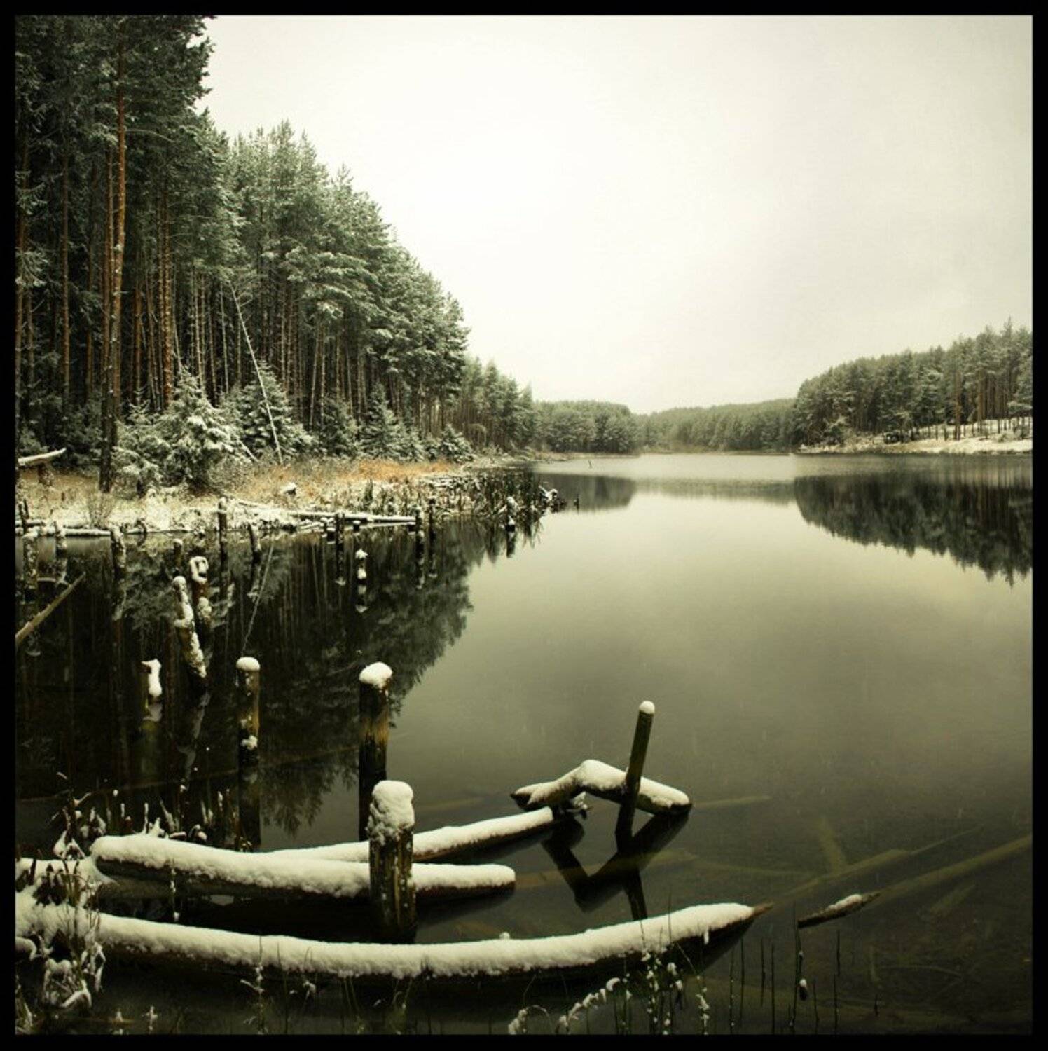 , Константин Стародубцев