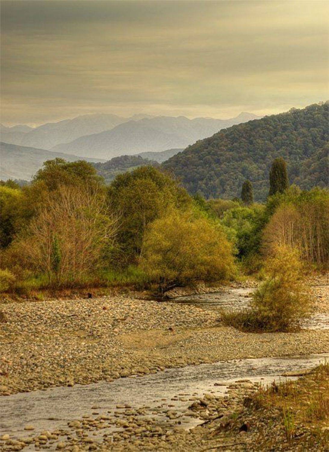 келасур, Alex Ivanov