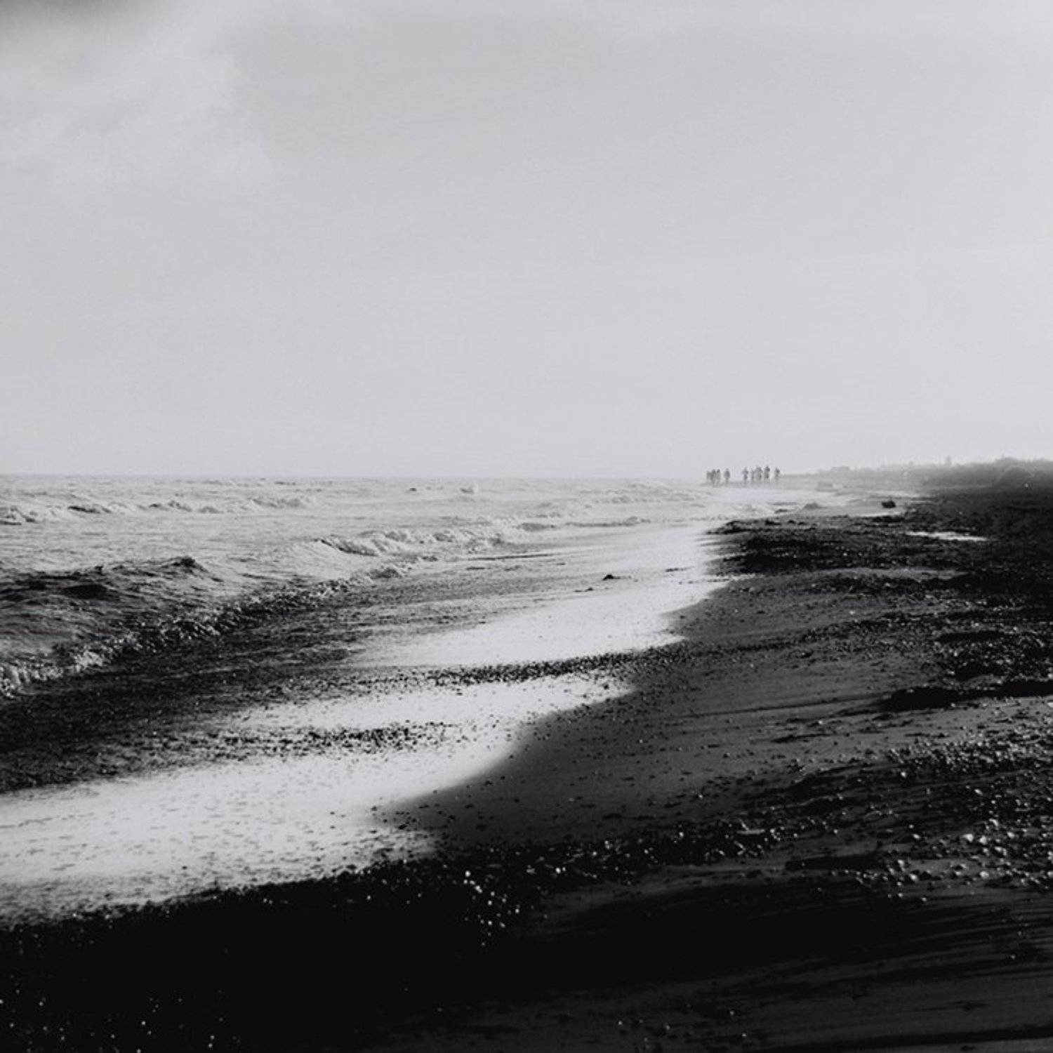 , Роман Чайка