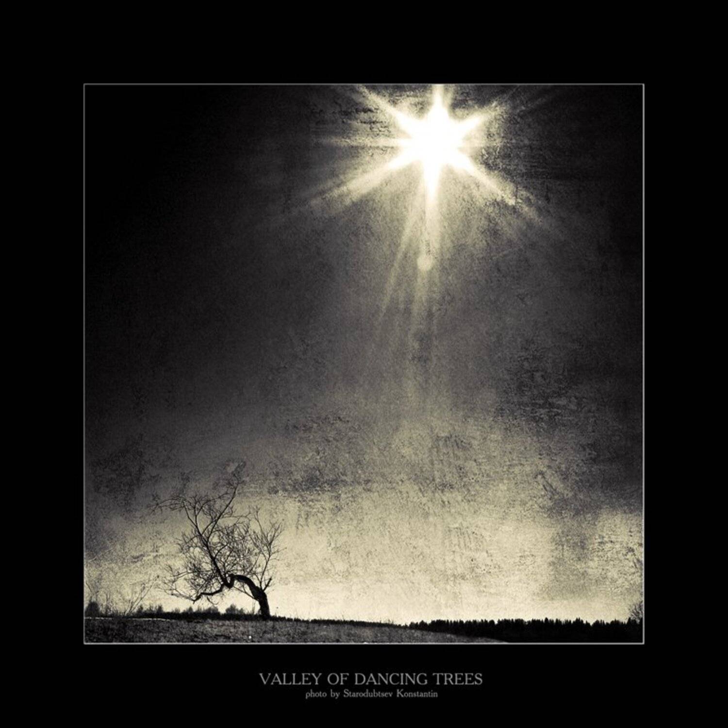 , Константин Стародубцев