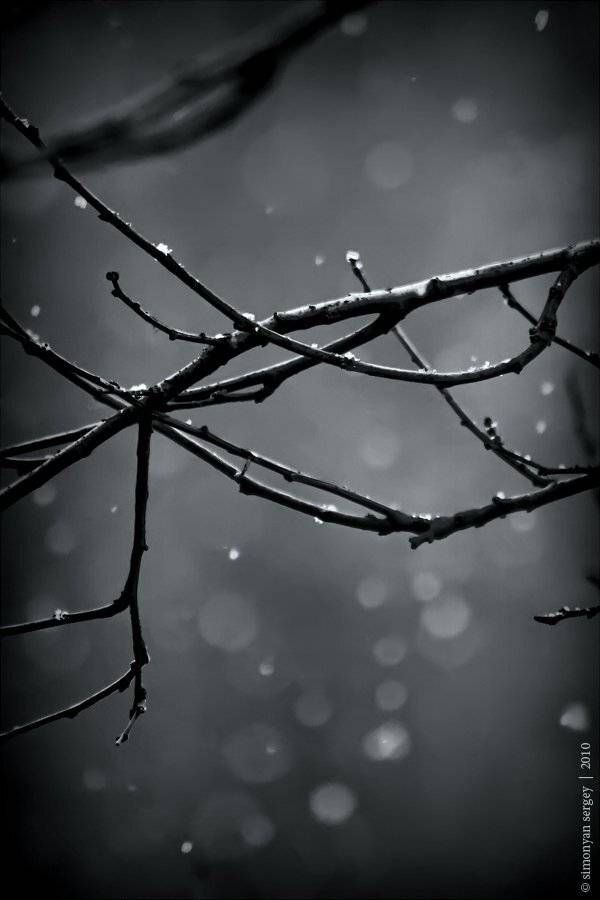 , Симонян Сергей