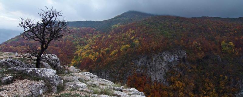 простор фото превью