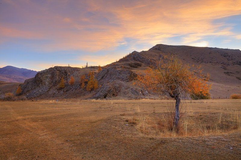 природа, пейзаж, утро, рассвет, осень Золотое утро фото превью