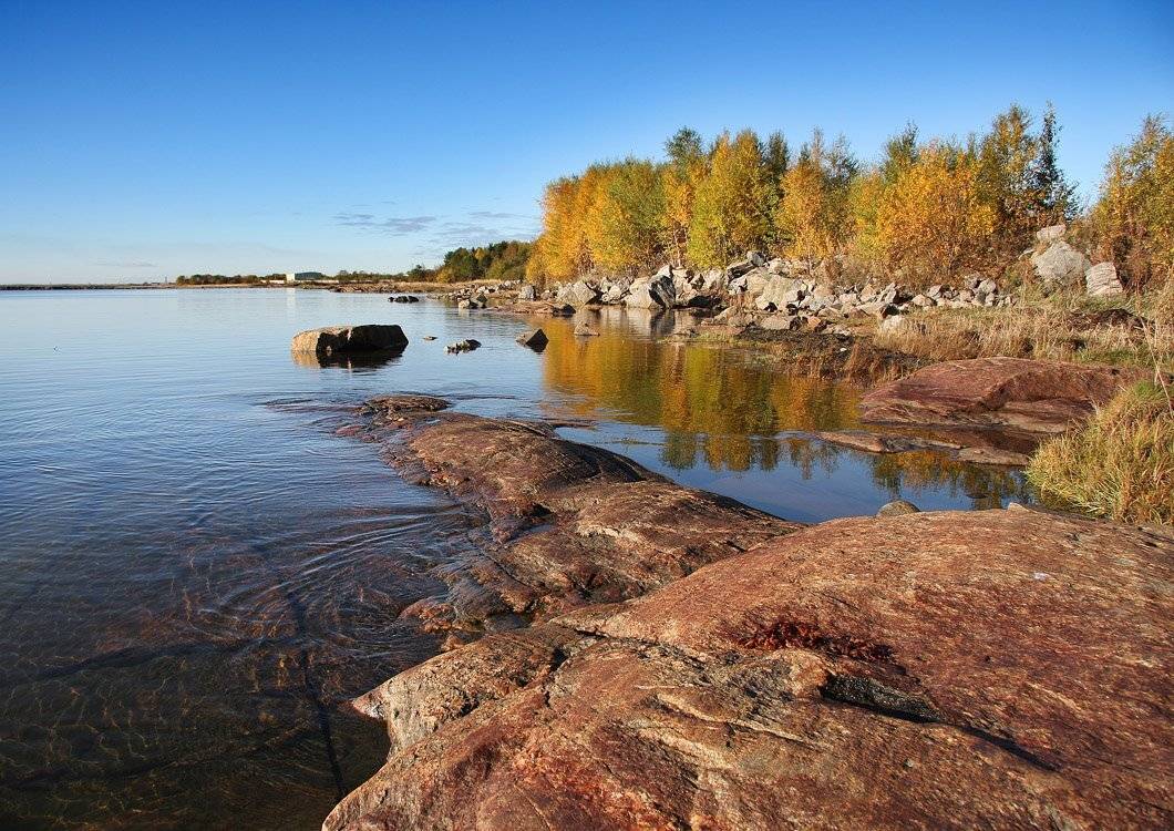 , Александр Коротков