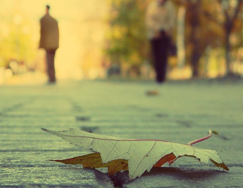 **** фото превью