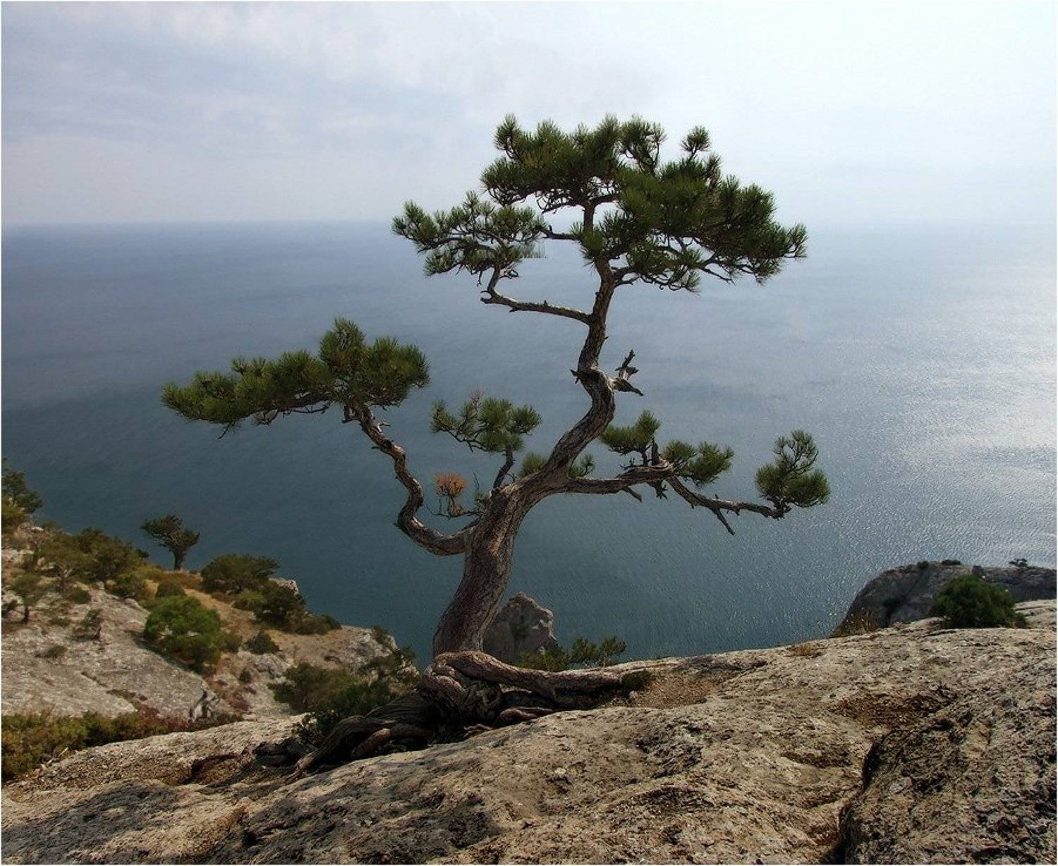 , Александр