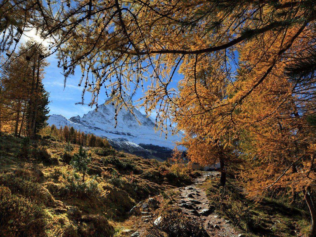 цермат,маттерхорн, Матвеев Николай