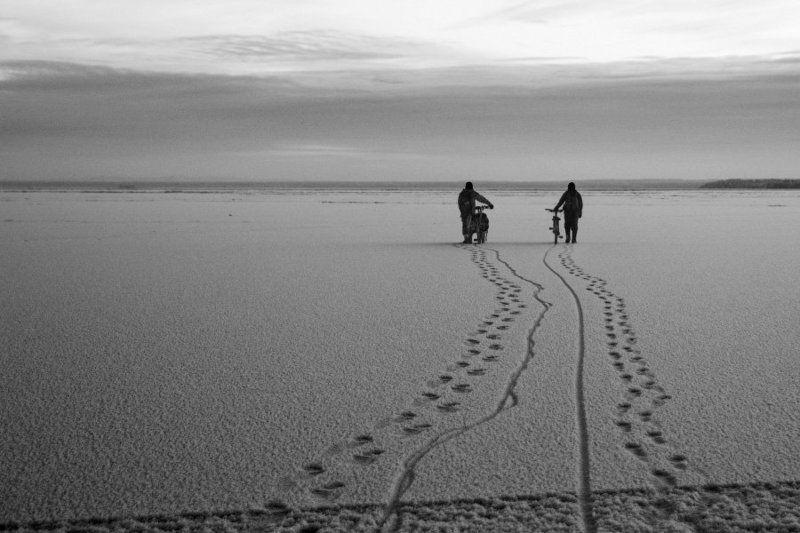 ладога, снег, лед, озеро, зима, следы, велосипед Двое фото превью