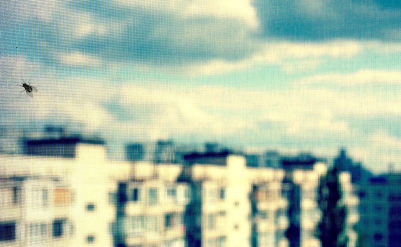 сеть фото превью