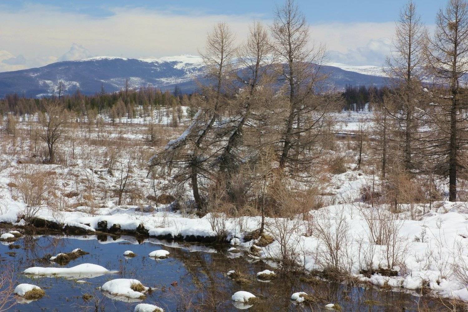 алтай, Олег Кулаков