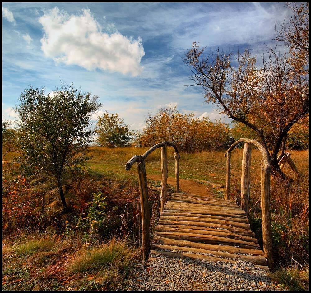 мостик, осень, Петриченко Валерий
