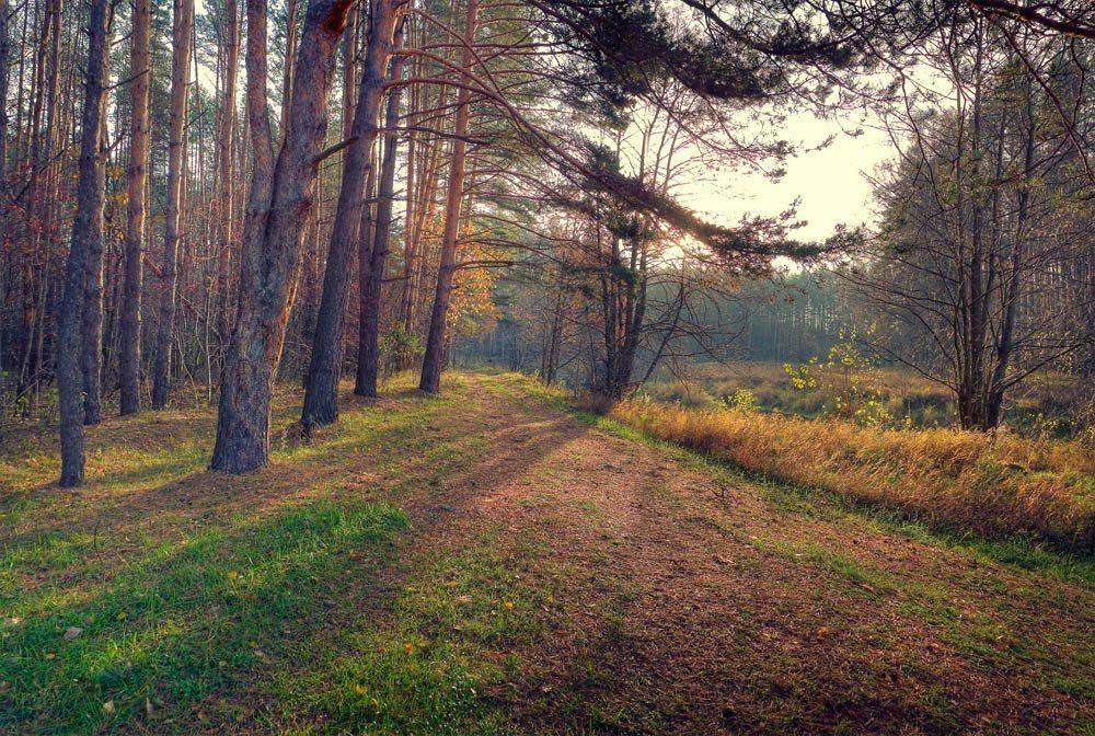 утро, осень, пейзаж, Mishin Ilay