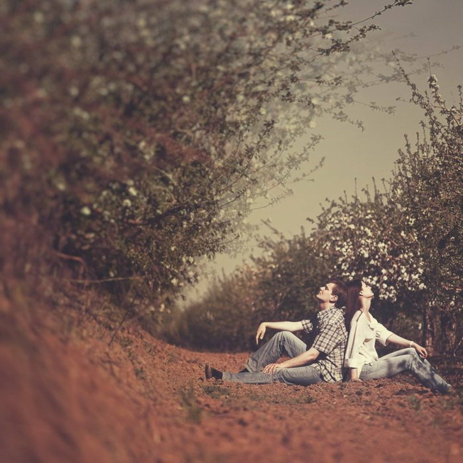 лавстори, любовь, пара, сад, цветы, яблони, волна, Ольга Брага (Eglantier)