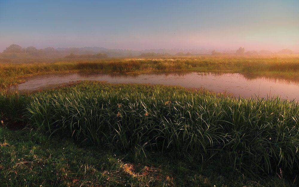 рассвет,река, Александр Титаренко