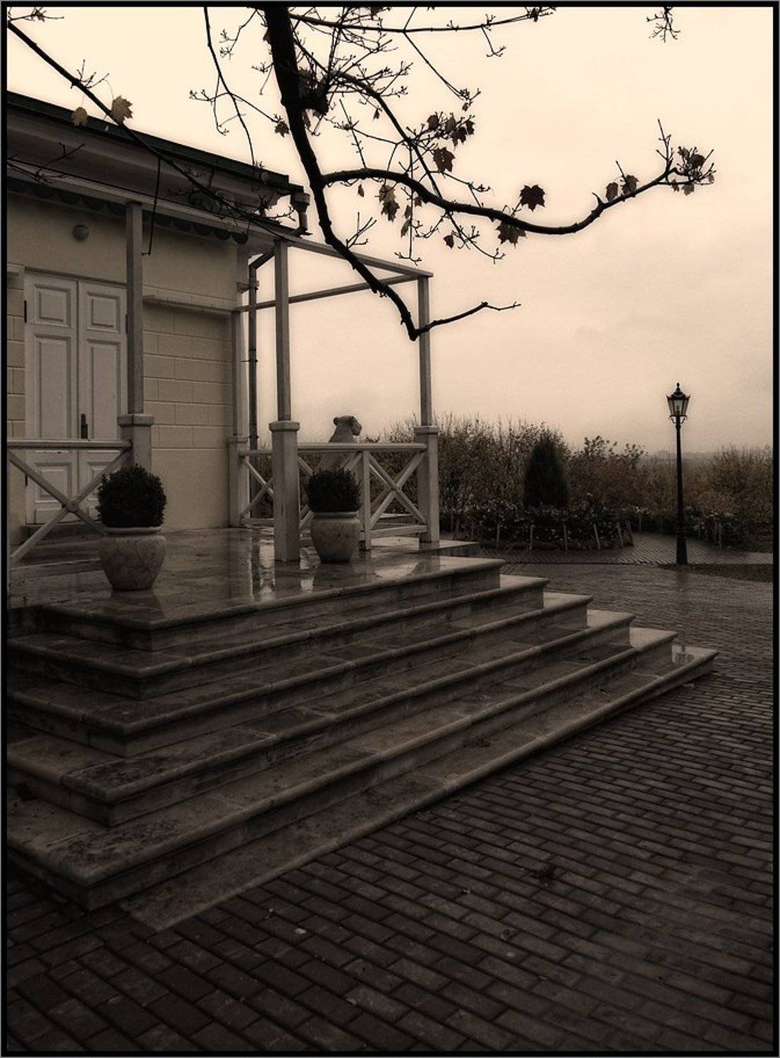 , Лунный Ежик