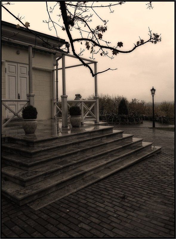 Дождливо... фото превью