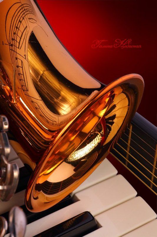 FERMATTA фото превью