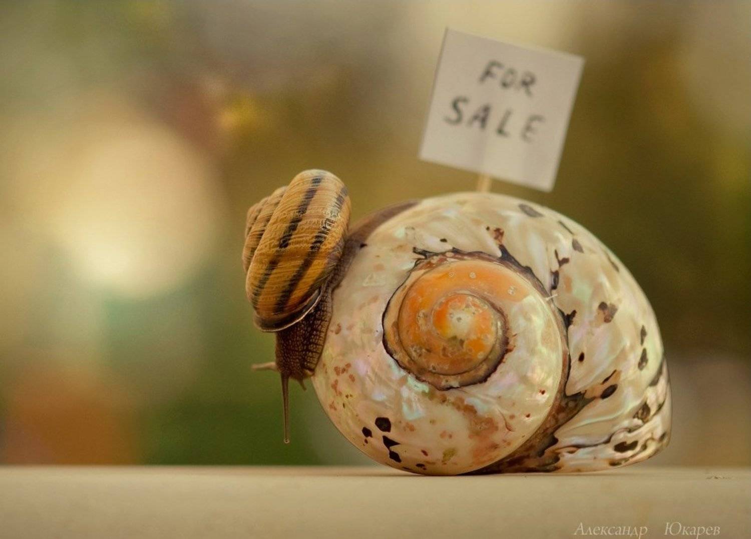 , Александр Юкарев