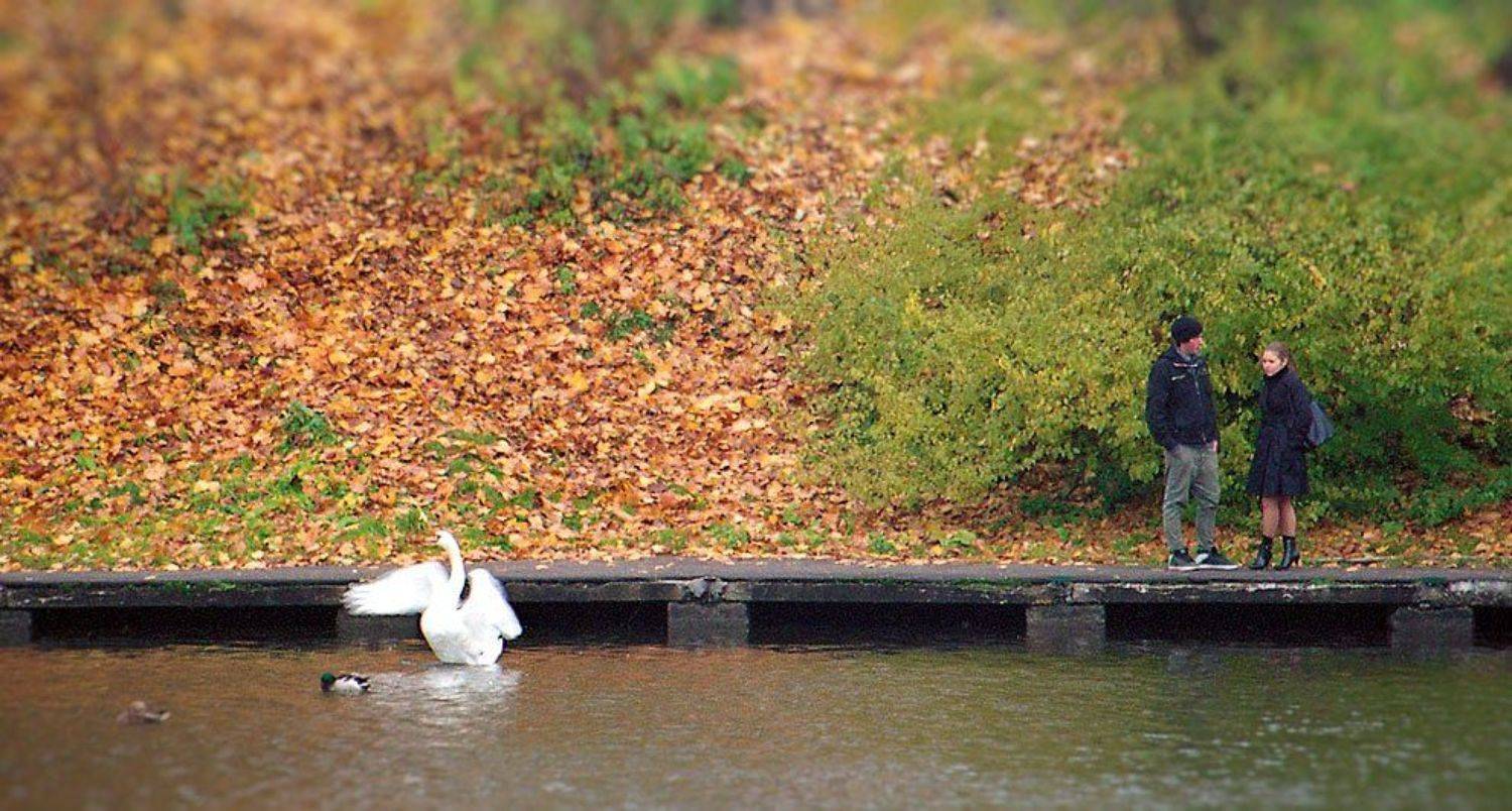 , Рафаэль Александрович Фоменко