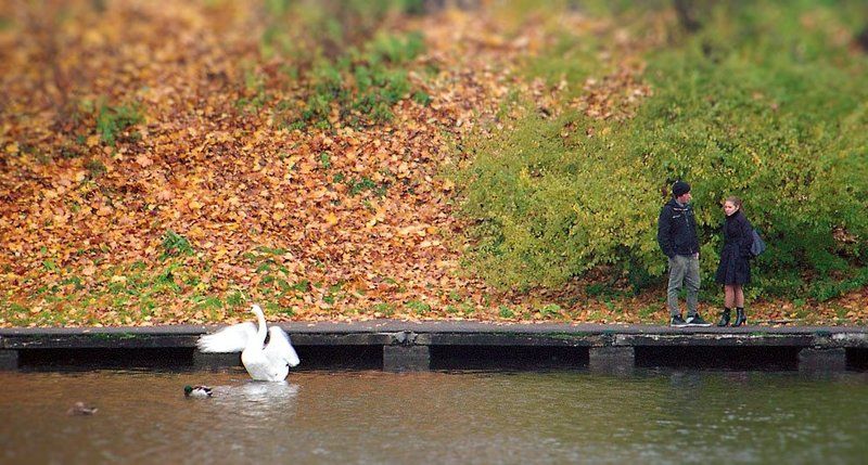 Разговор на причале фото превью