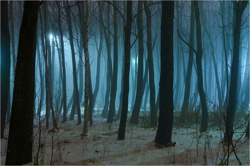 туман, вечер, осень ... фото превью