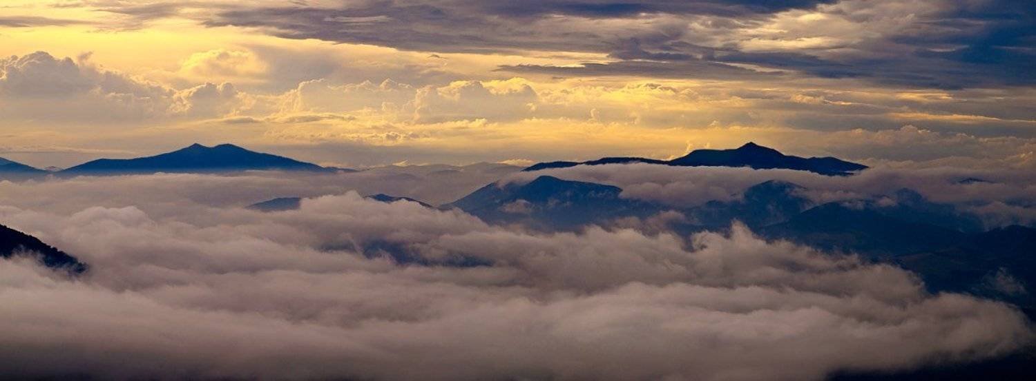 , Александр Ящук