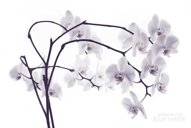 grade фото превью