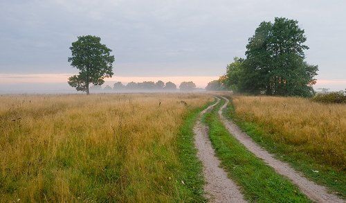 Туманное утро