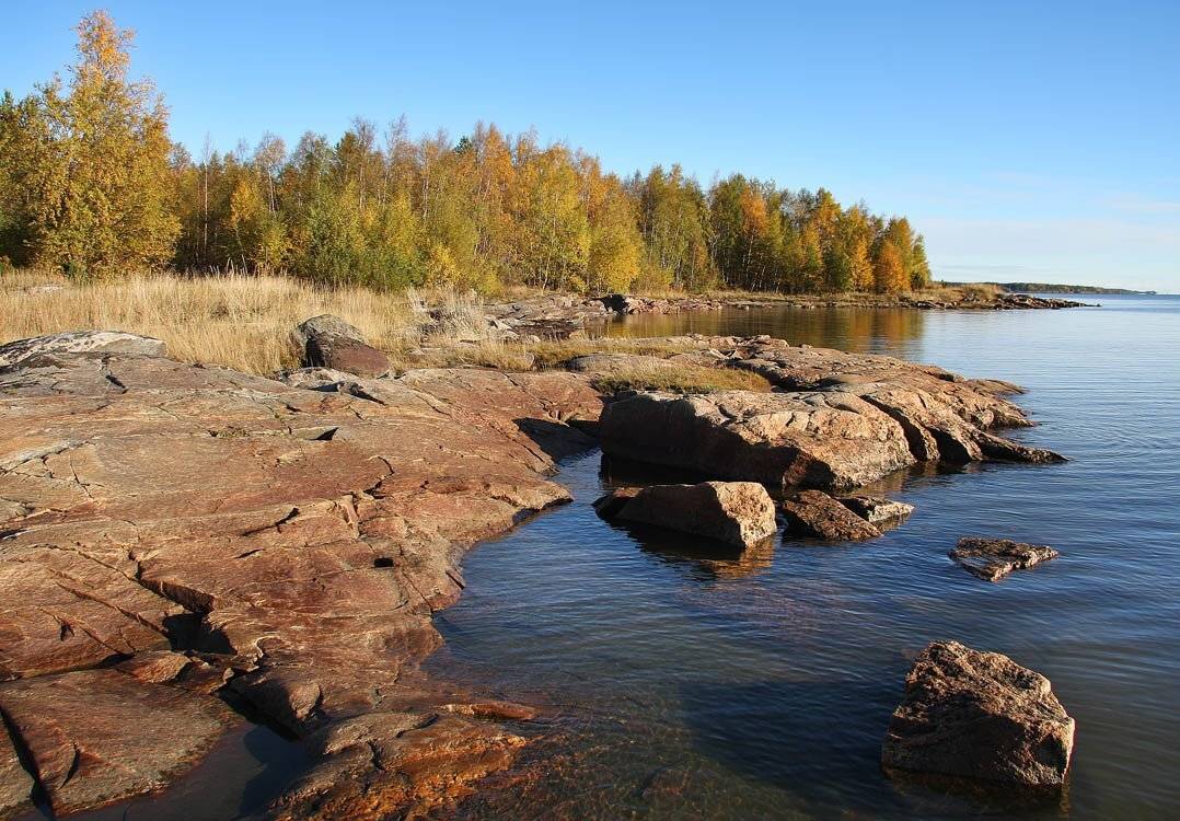 , Александр Коротков