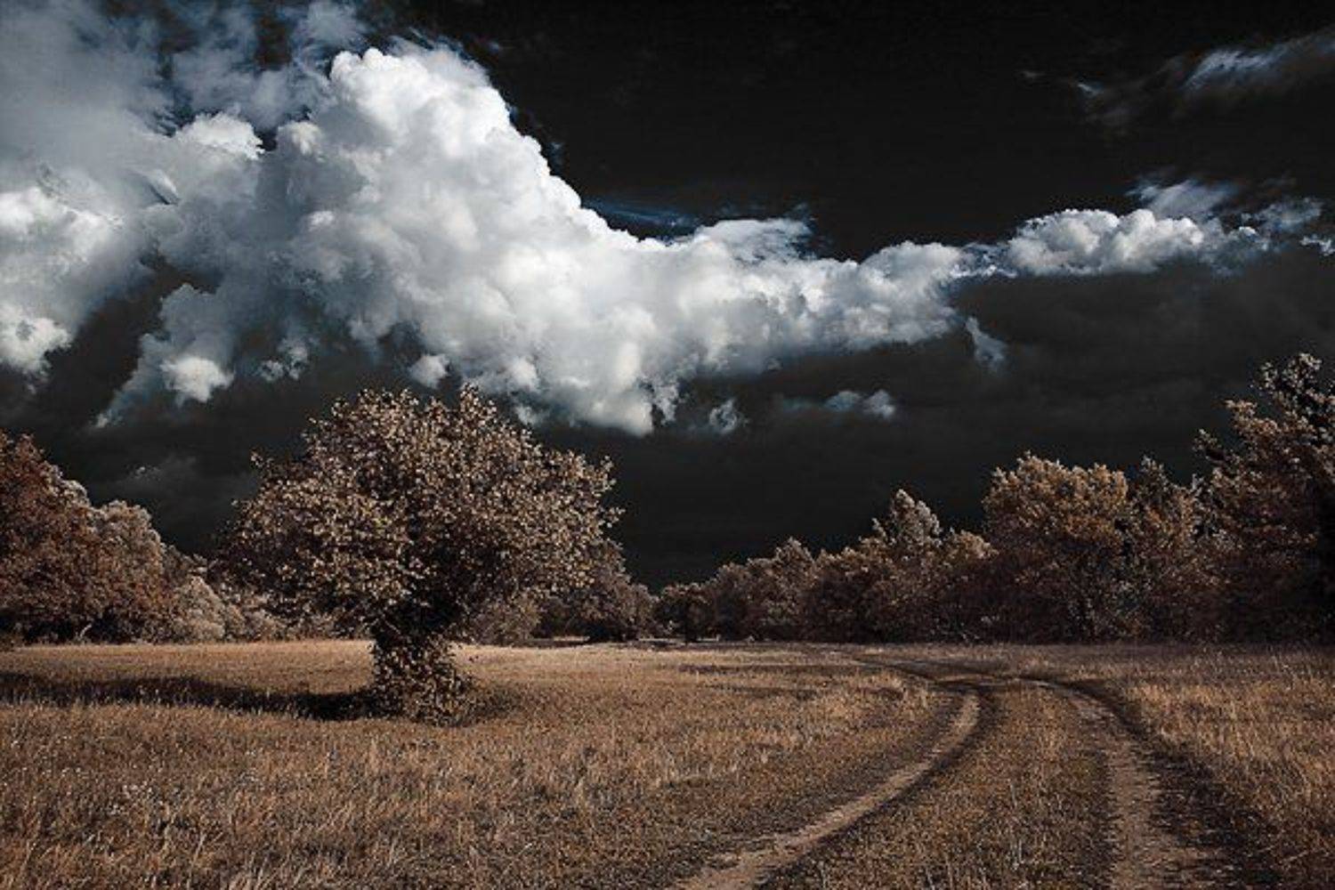 природа, Пальников Иван