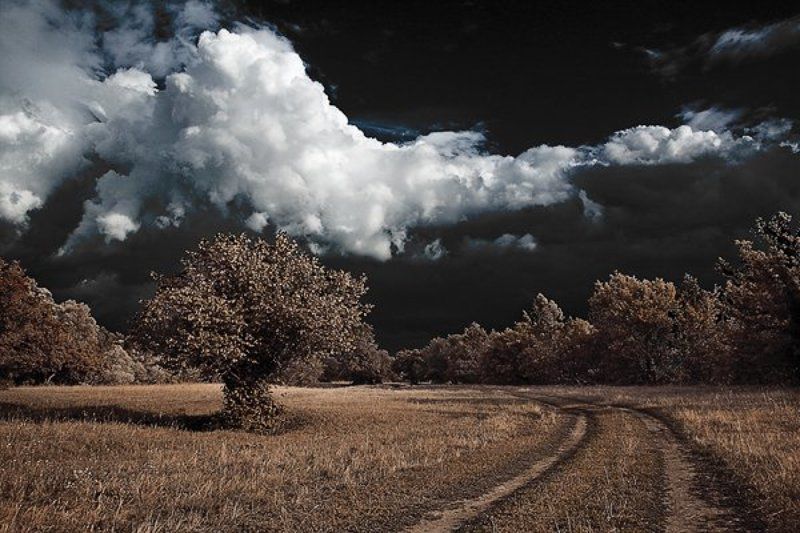 природа Отражение фото превью