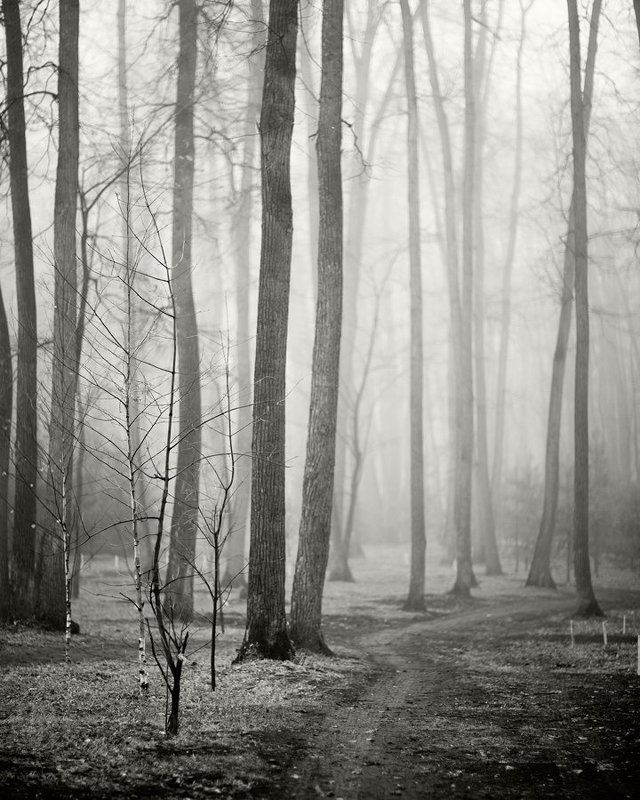 Осень фото превью