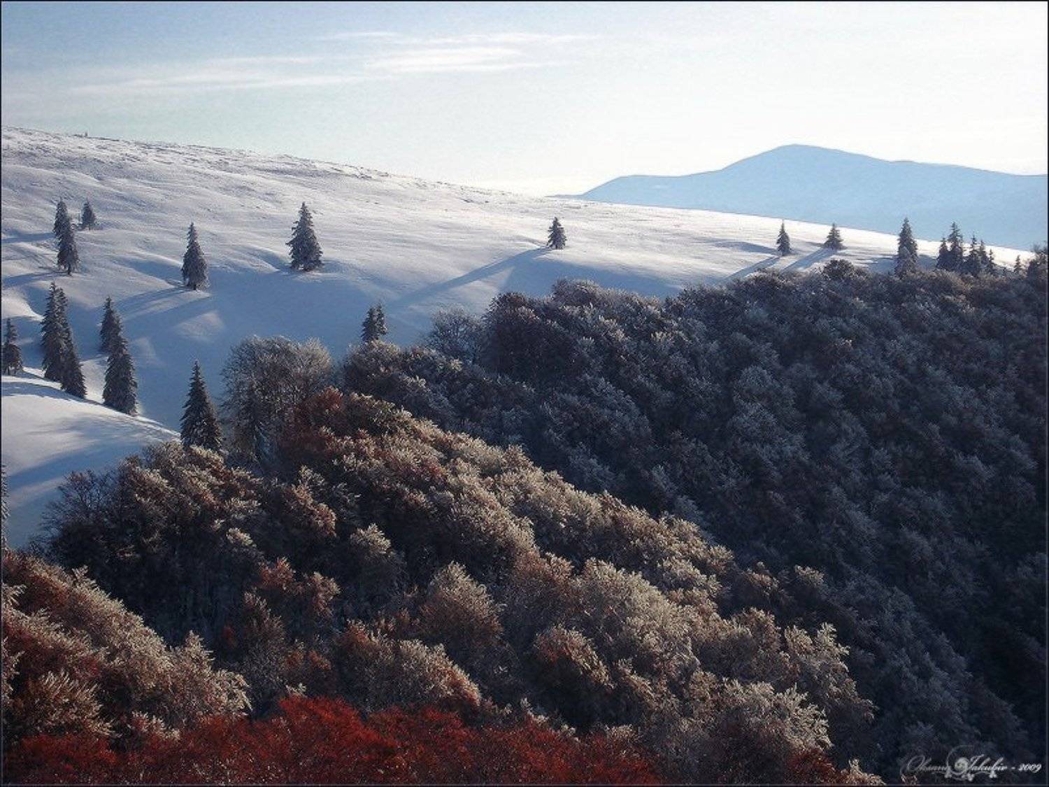 карпаты, Oksana