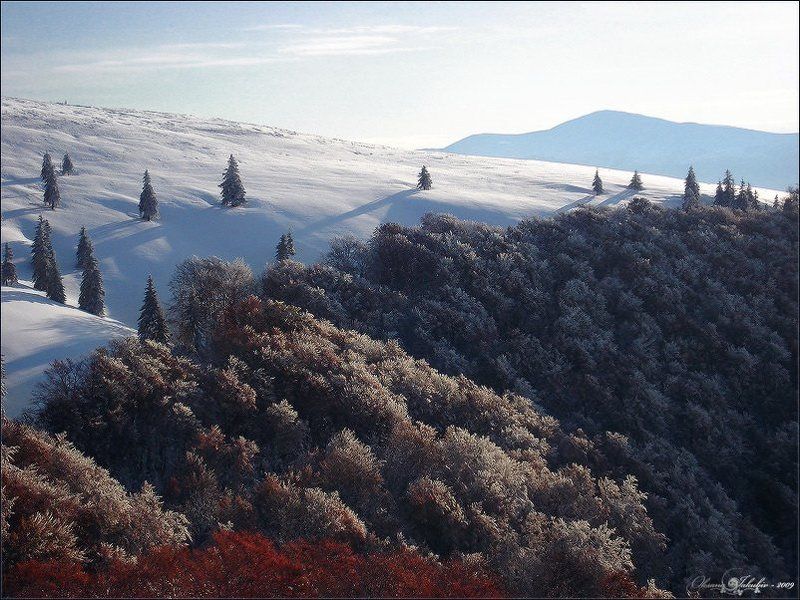 карпаты Golden Autumn фото превью