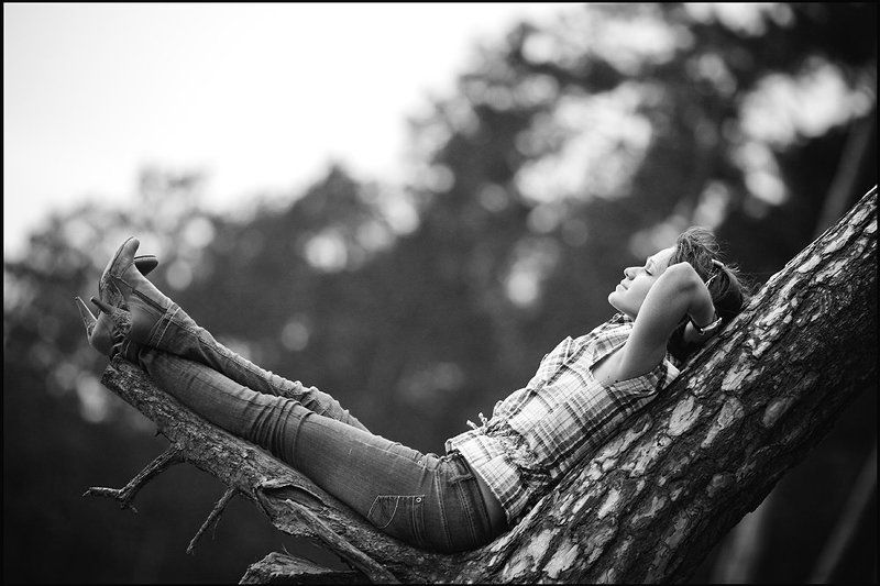 лес, гамак, портрет Лесной гамак фото превью