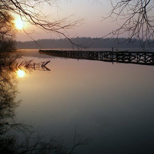 Тихо, тихенько, тихонько...