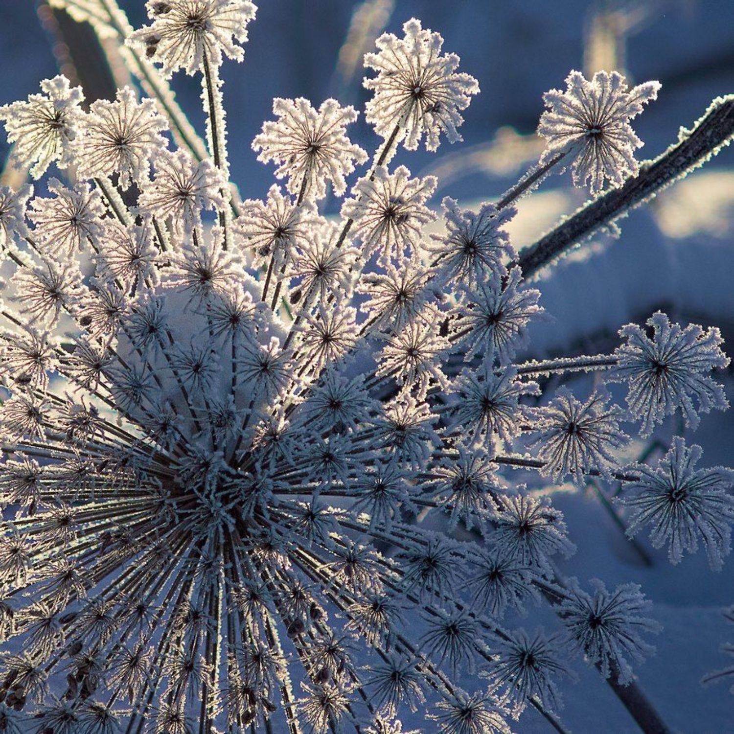 , Александр Виноградов