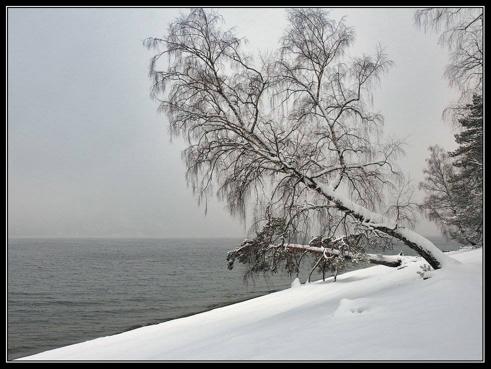 алтай, телецкое, озеро, Юрий Фролов