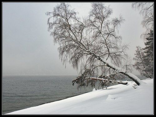Графика утра.