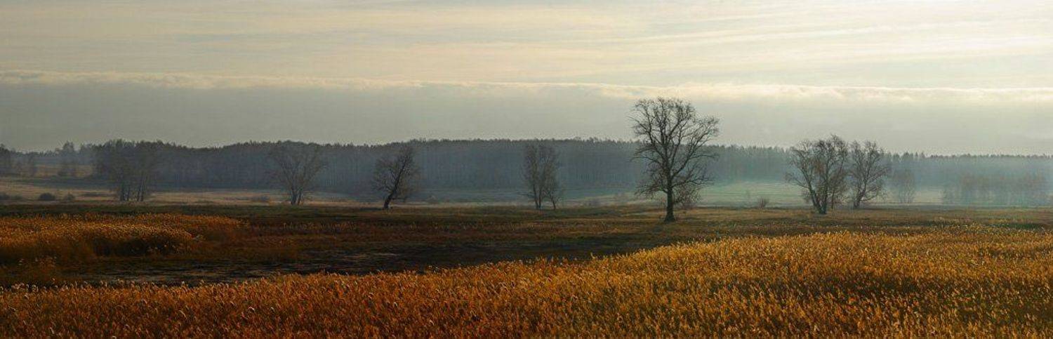 пейзаж, природа, зауралье, Руденко Олег