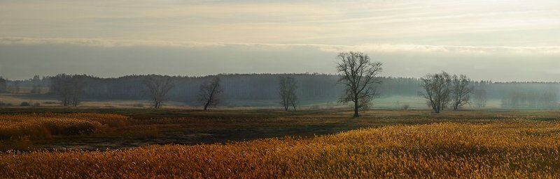 Осеннее утро фото превью