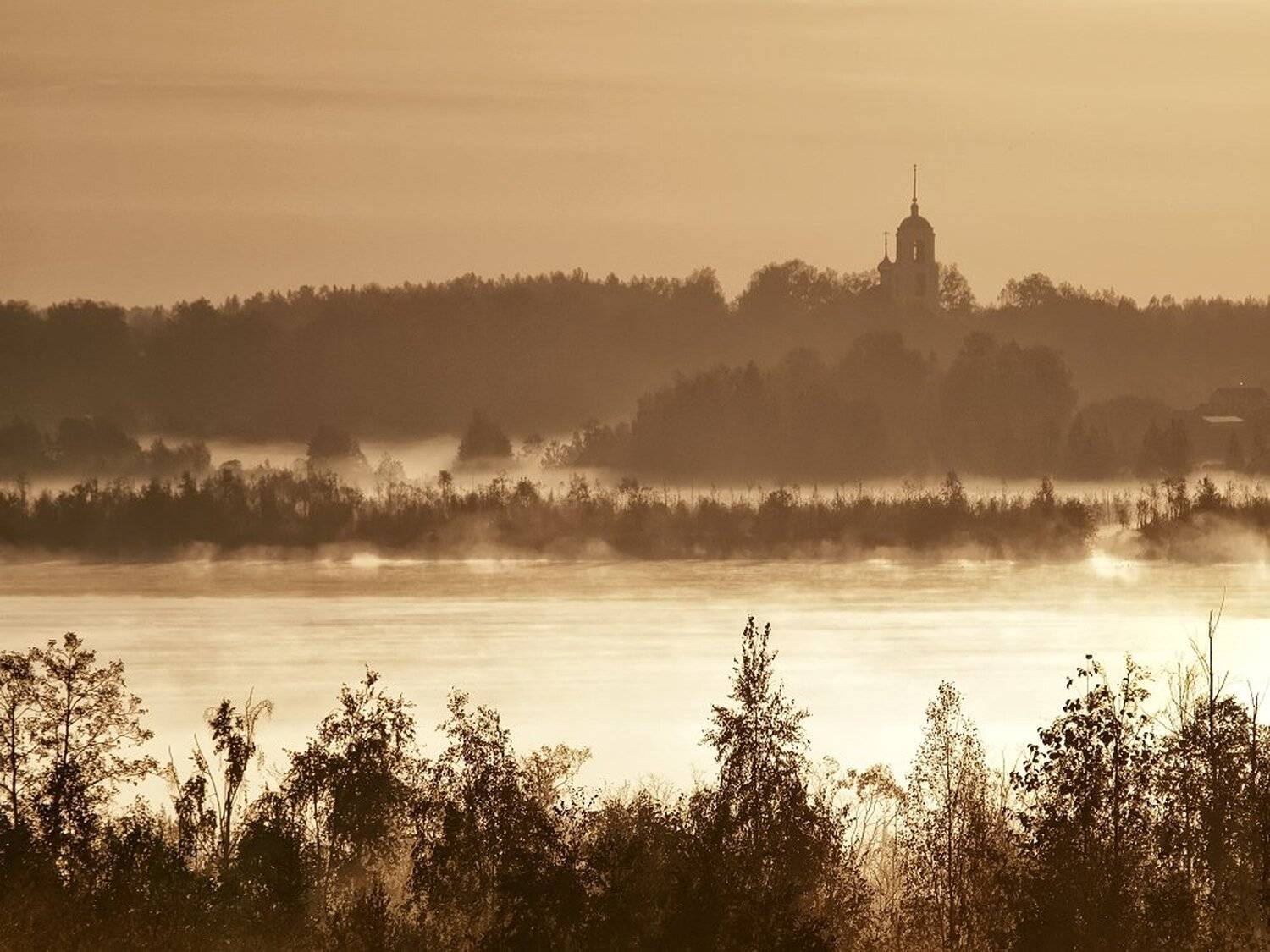 , Максим Евдокимов