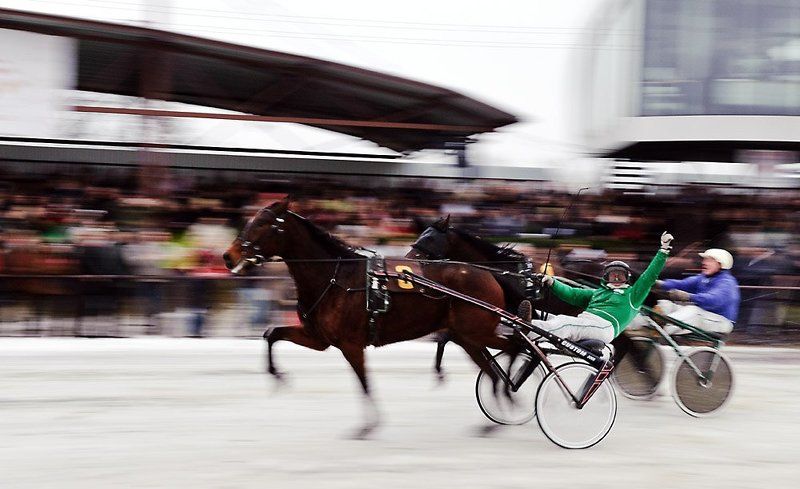 the, winner  фото превью