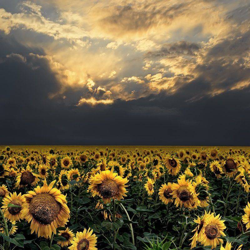 , Сергей Иванов