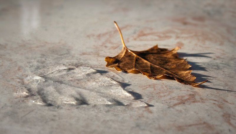 Осенне-зимний переход фото превью