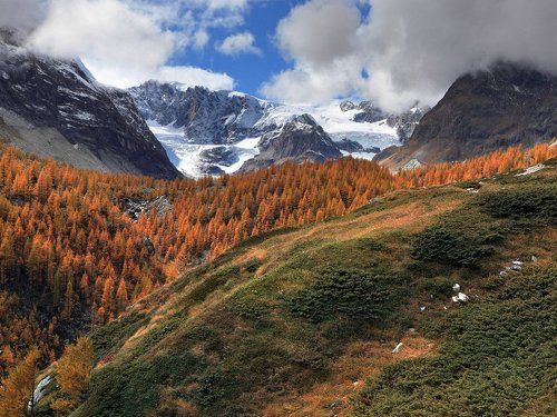 Про косы осени