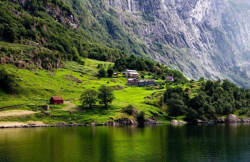 норвегия, фьорд На берегу фьорда фото превью