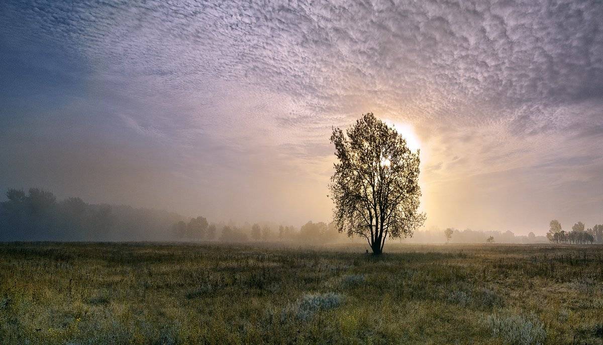 , Сергей Иванов